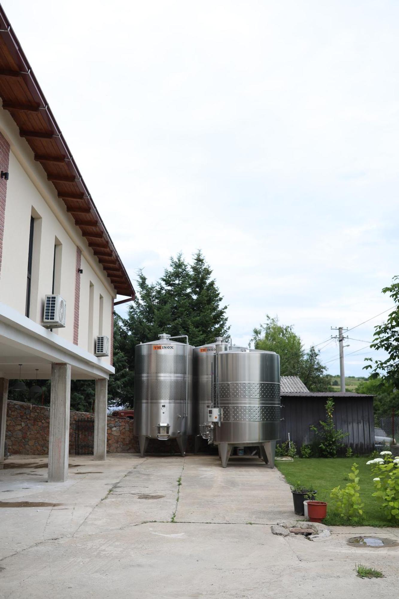 ホテル Kokino Winery クマノヴォ エクステリア 写真